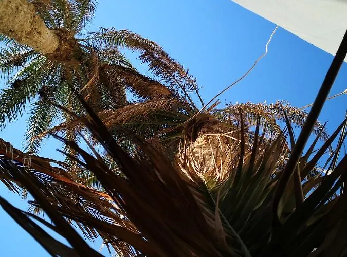 زقاق Camp Guest house *