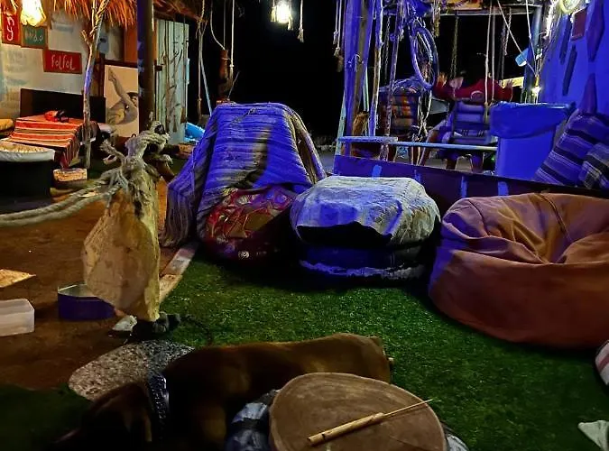 زقاق Camp *