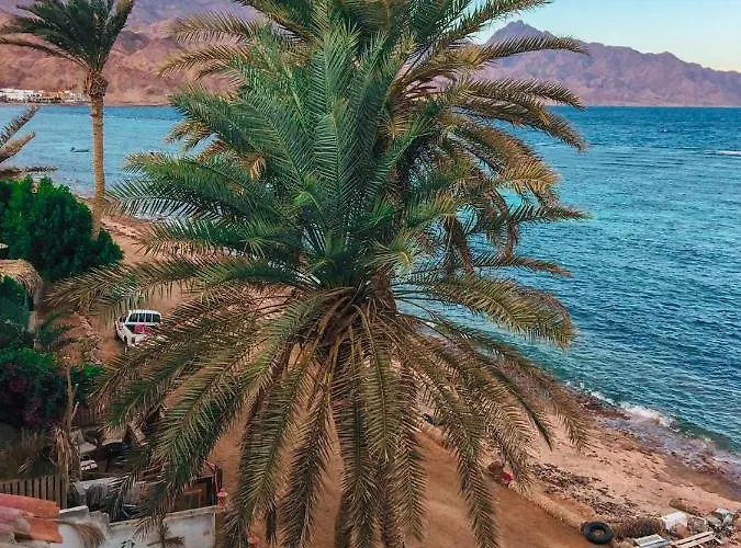 Guest house زقاق Camp